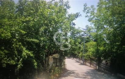 Tekirdağ Süleymanpaşa Gaziköy 2+1 120 M2 Dubleks Satılık Yazlık
