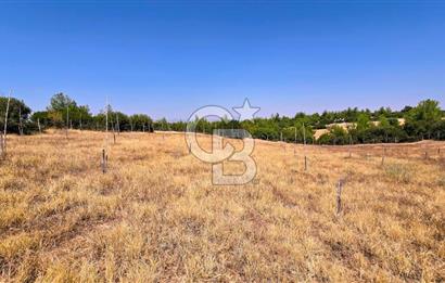 Uşak Büyükkayalı'da 4006 M² Tel Örgü İle Çevrili Satılık Arazi