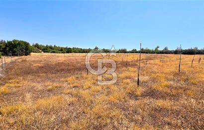 Uşak Büyükkayalı'da 4006 M² Tel Örgü İle Çevrili Satılık Arazi