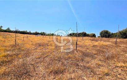 Uşak Büyükkayalı'da 4006 M² Tel Örgü İle Çevrili Satılık Arazi