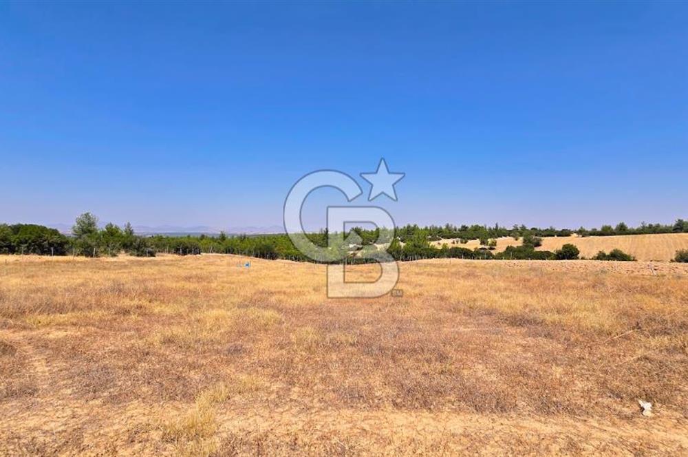 Uşak Büyükkayalı'da 4006 M² Tel Örgü İle Çevrili Satılık Arazi