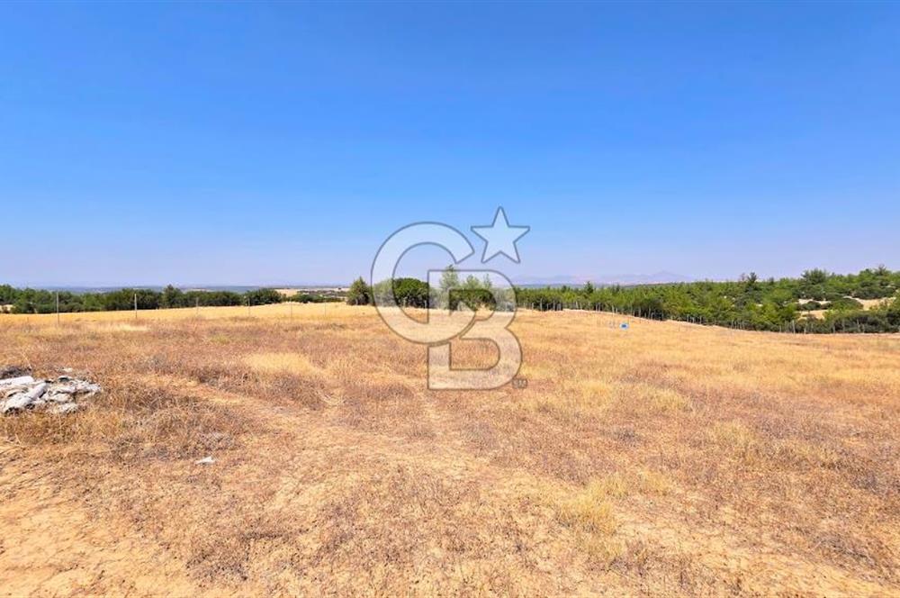 Uşak Büyükkayalı'da 4006 M² Tel Örgü İle Çevrili Satılık Arazi