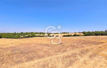 Uşak Büyükkayalı'da 4006 M² Tel Örgü İle Çevrili Satılık Arazi