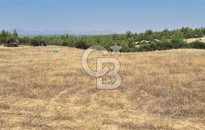 Uşak Büyükkayalı'da 4006 M² Tel Örgü İle Çevrili Satılık Arazi