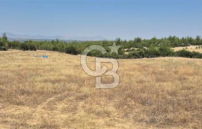 Uşak Büyükkayalı'da 4006 M² Tel Örgü İle Çevrili Satılık Arazi