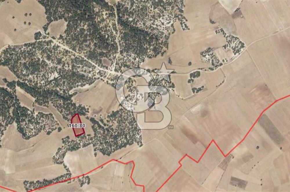 Uşak Büyükkayalı'da 4006 M² Tel Örgü İle Çevrili Satılık Arazi