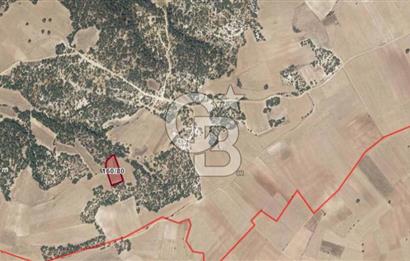 Uşak Büyükkayalı'da 4006 M² Tel Örgü İle Çevrili Satılık Arazi