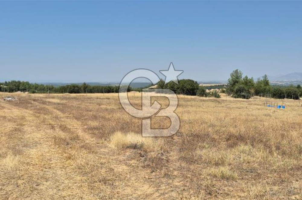 Uşak Büyükkayalı'da 4006 M² Tel Örgü İle Çevrili Satılık Arazi