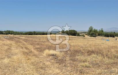 Uşak Büyükkayalı'da 4006 M² Tel Örgü İle Çevrili Satılık Arazi