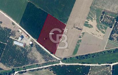 CB CLASS MUSTAFAKEMALPAŞA SANAYİ BÖLGESİ YÜKSEK GELİRLİ YATIRIM