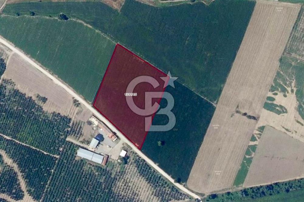 CB CLASS MUSTAFAKEMALPAŞA SANAYİ BÖLGESİ YÜKSEK GELİRLİ YATIRIM