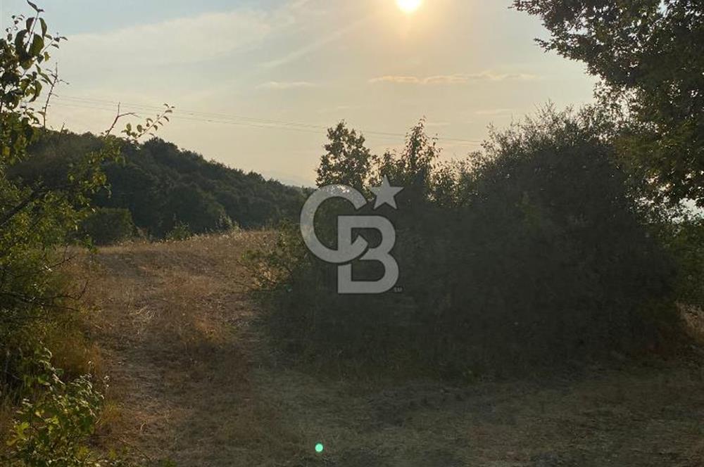 BURSA İZNİK DERBENT KÖY YERLEŞİK ALANI İÇERİSİNDE İMARLI SATILIK ARSA