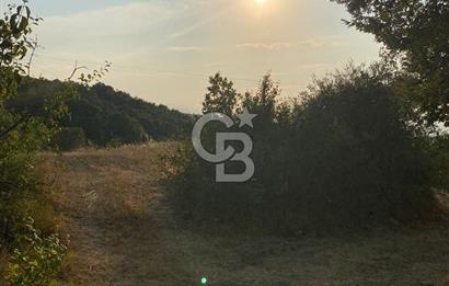BURSA İZNİK DERBENT KÖY YERLEŞİK ALANI İÇERİSİNDE İMARLI SATILIK ARSA