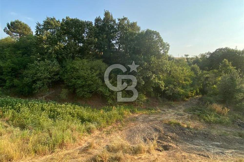BURSA İZNİK DERBENT KÖY YERLEŞİK ALANI İÇERİSİNDE İMARLI SATILIK ARSA