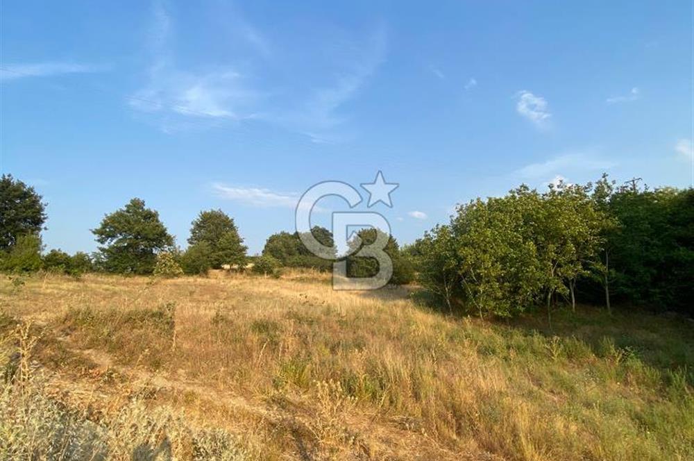 BURSA İZNİK DERBENT KÖY YERLEŞİK ALANI İÇERİSİNDE İMARLI SATILIK ARSA