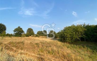BURSA İZNİK DERBENT KÖY YERLEŞİK ALANI İÇERİSİNDE İMARLI SATILIK ARSA