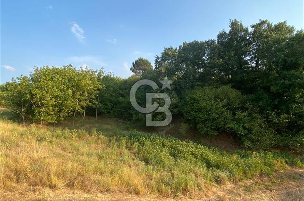 BURSA İZNİK DERBENT KÖY YERLEŞİK ALANI İÇERİSİNDE İMARLI SATILIK ARSA