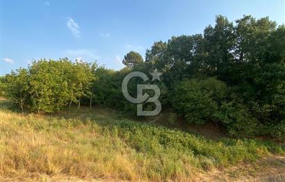 BURSA İZNİK DERBENT KÖY YERLEŞİK ALANI İÇERİSİNDE İMARLI SATILIK ARSA