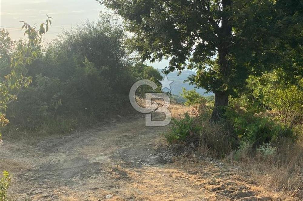 BURSA İZNİK DERBENT KÖY YERLEŞİK ALANI İÇERİSİNDE İMARLI SATILIK ARSA