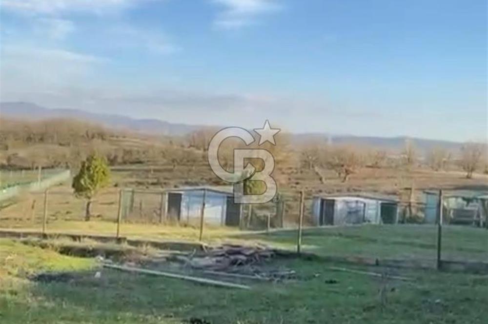 Gebze Denizliköyü Göl ve KörfezManzaralı 3984m2 Villa İmarlıArsa