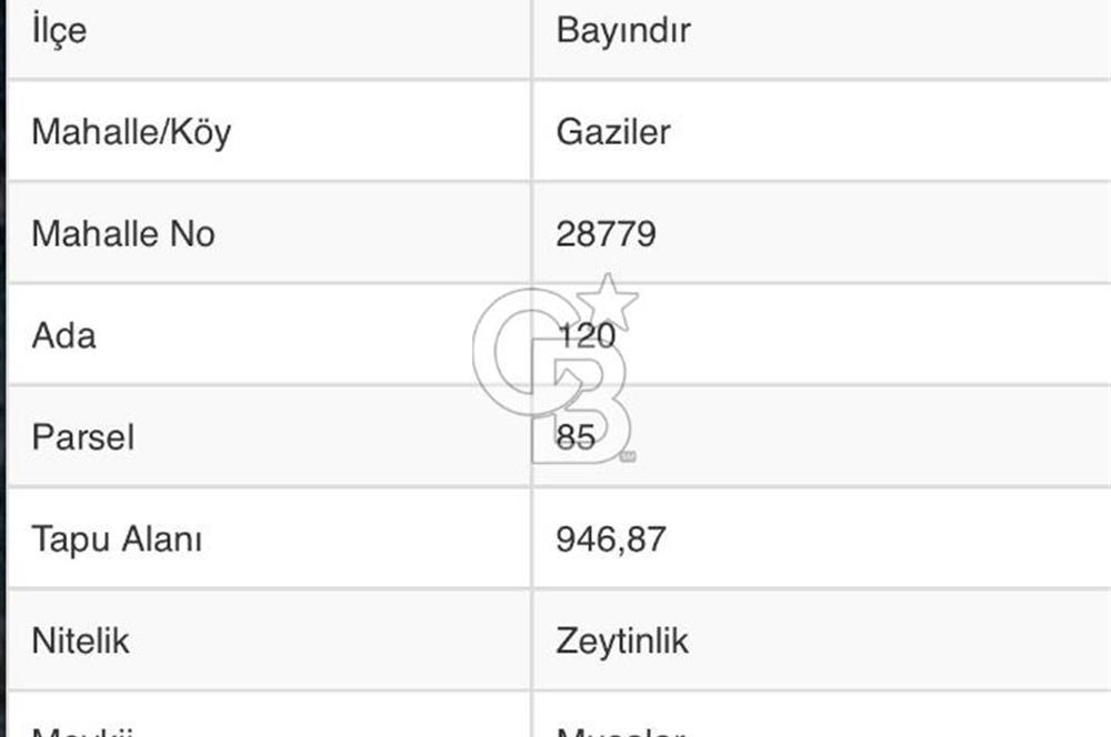 Bayındır / Gaziler'de Satılık Yola Cepheli Zeytinlik