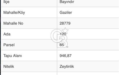 Bayındır / Gaziler'de Satılık Yola Cepheli Zeytinlik