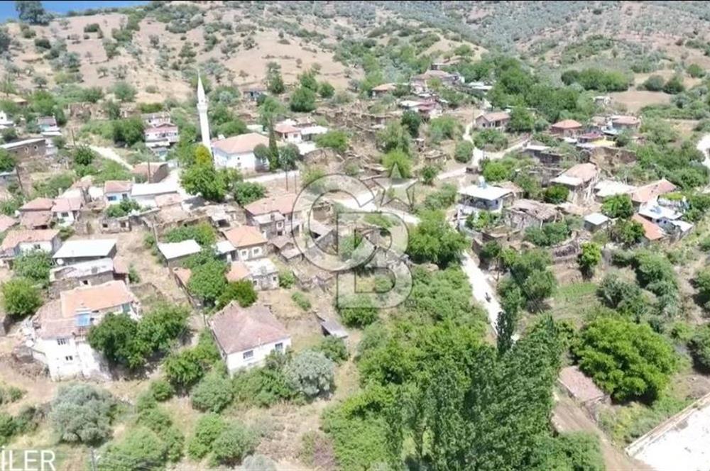 Bayındır / Gaziler'de Satılık Yola Cepheli Zeytinlik