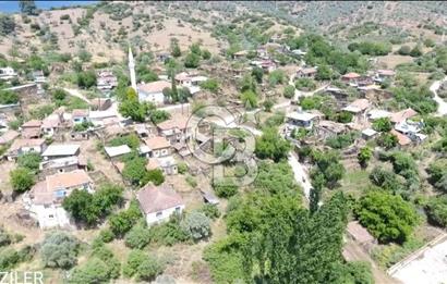 Bayındır / Gaziler'de Satılık Yola Cepheli Zeytinlik