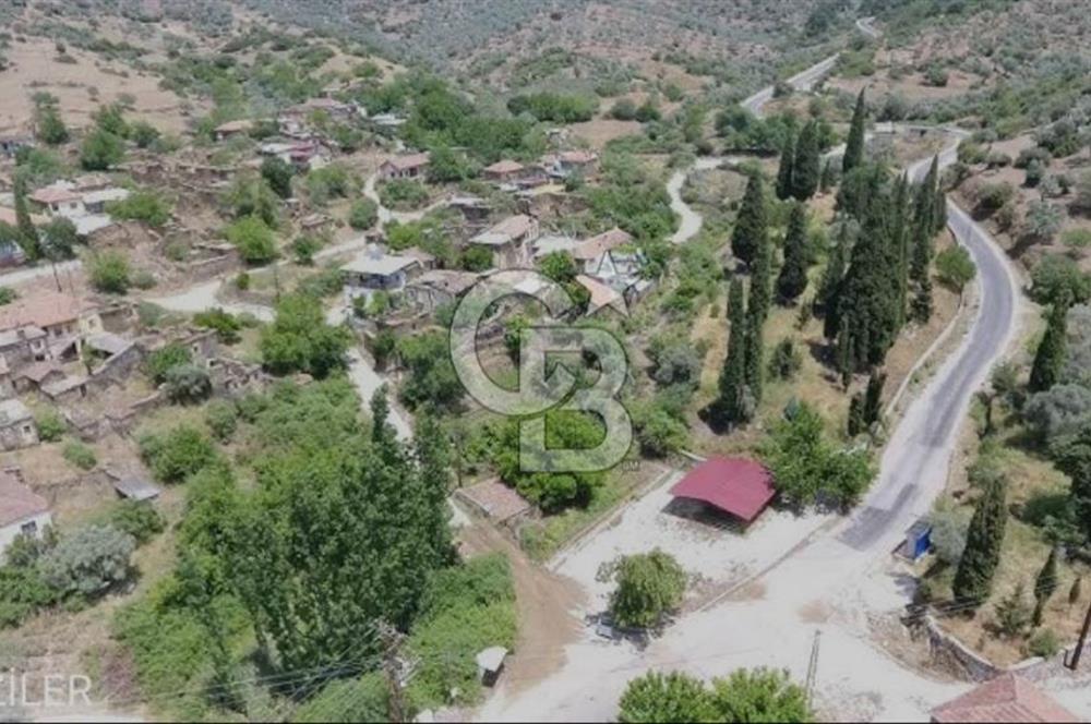 Bayındır / Gaziler'de Satılık Yola Cepheli Zeytinlik