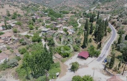 Bayındır / Gaziler'de Satılık Yola Cepheli Zeytinlik