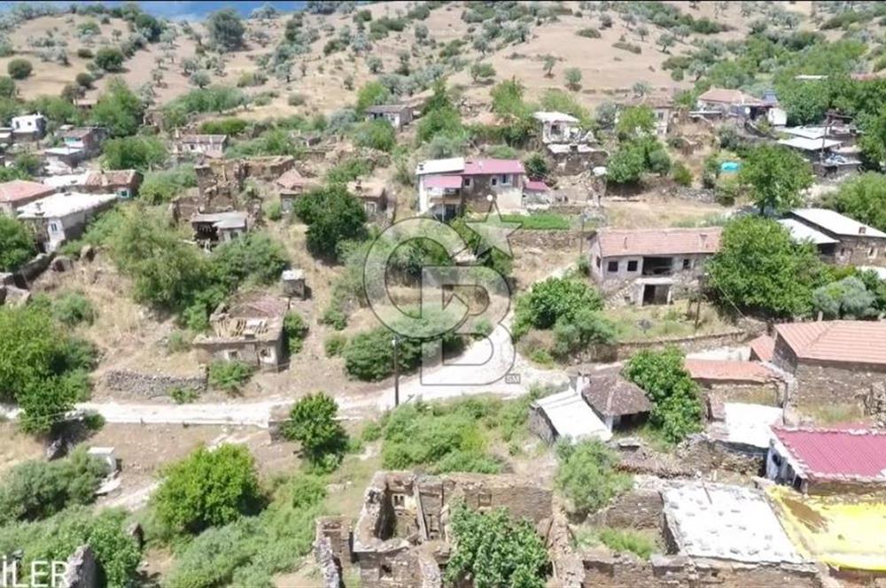 Bayındır / Gaziler'de Satılık Yola Cepheli Zeytinlik
