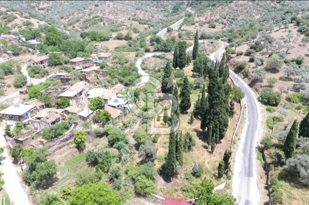 Bayındır / Gaziler'de Satılık Yola Cepheli Zeytinlik