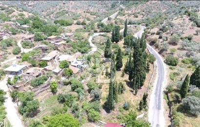 Bayındır / Gaziler'de Satılık Yola Cepheli Zeytinlik