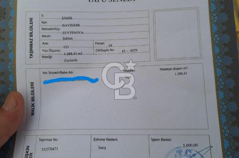 Bayındır / Zeytinova'da Satılık Çift Yola Cepheli Zeytinlik !!!