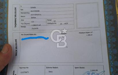 Bayındır / Zeytinova'da Satılık Çift Yola Cepheli Zeytinlik !!!