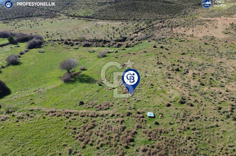 Karaburun Parlak Köyü'nde 1101 m2 Satılık Tarla