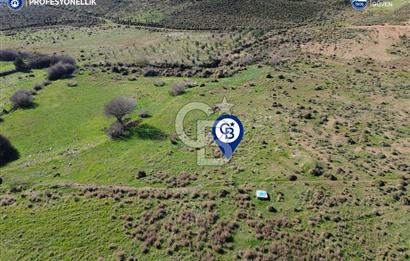 Karaburun Parlak Köyü'nde 1101 m2 Satılık Tarla