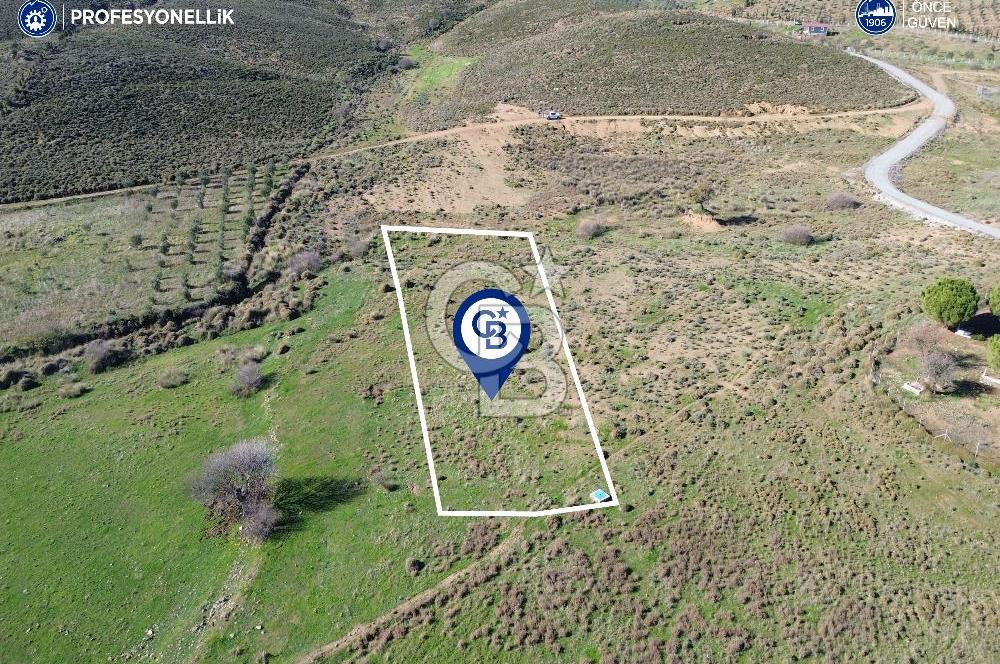 Karaburun Parlak Köyü'nde 1101 m2 Satılık Tarla