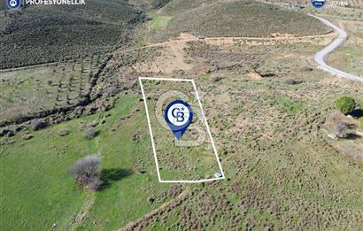 Karaburun Parlak Köyü'nde 1101 m2 Satılık Tarla
