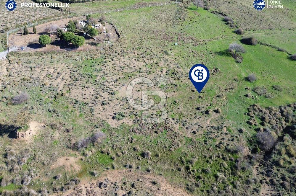 Karaburun Parlak Köyü'nde 1101 m2 Satılık Tarla