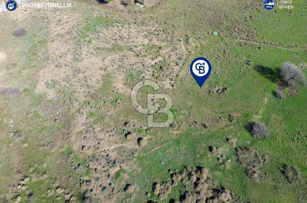 Karaburun Parlak Köyü'nde 1101 m2 Satılık Tarla