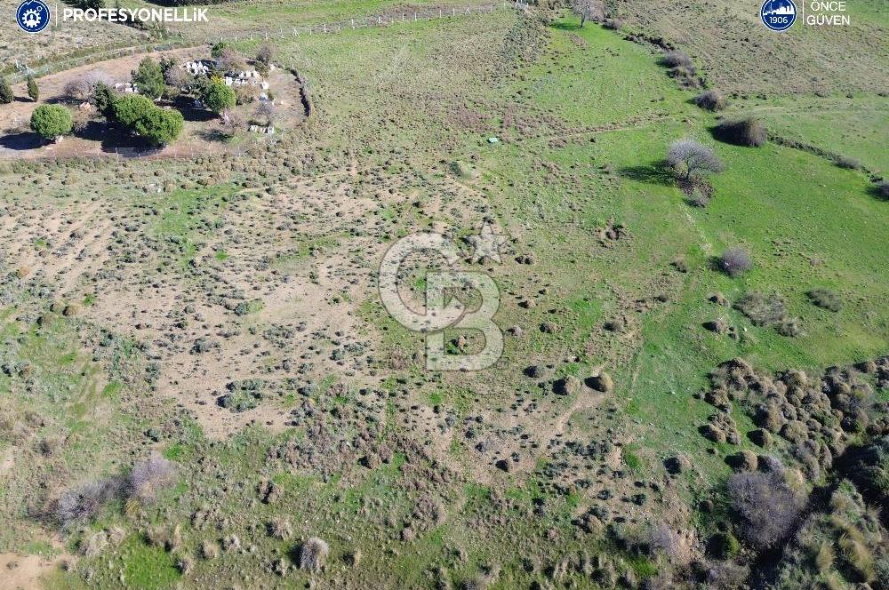 Karaburun Parlak Köyü'nde 1101 m2 Satılık Tarla