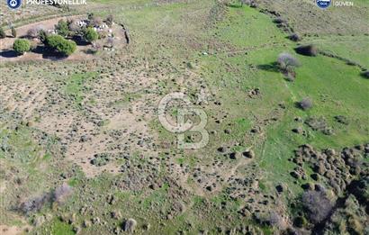 Karaburun Parlak Köyü'nde 1101 m2 Satılık Tarla