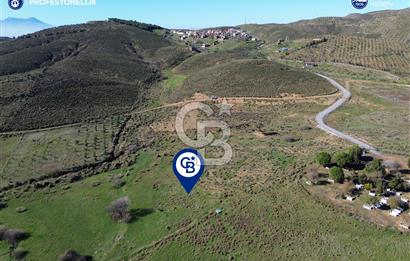 Karaburun Parlak Köyü'nde 1101 m2 Satılık Tarla