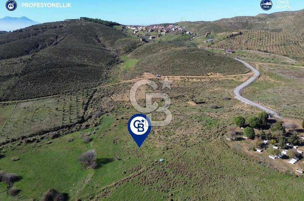 Karaburun Parlak Köyü'nde 1101 m2 Satılık Tarla