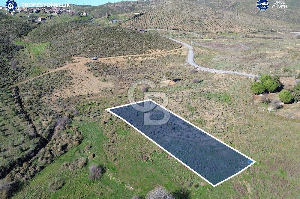 Karaburun Parlak Köyü'nde 1101 m2 Satılık Tarla