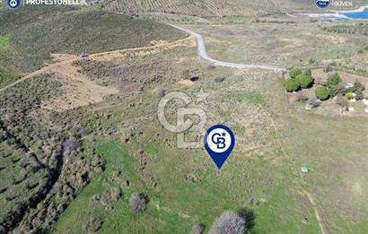 Karaburun Parlak Köyü'nde 1101 m2 Satılık Tarla
