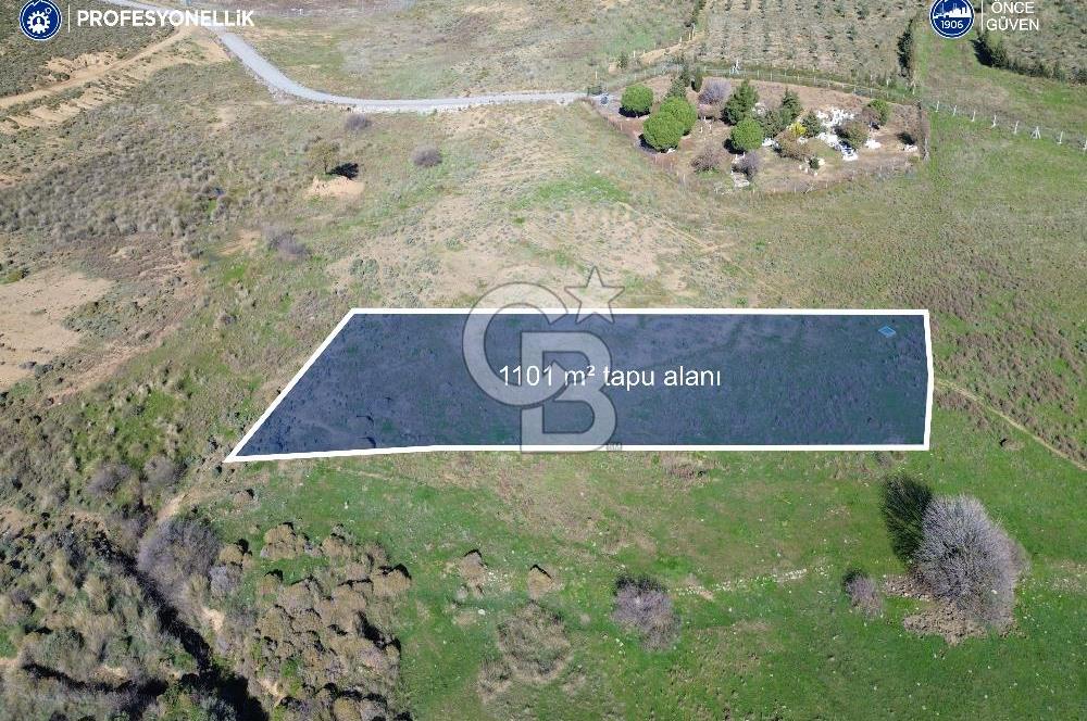 Karaburun Parlak Köyü'nde 1101 m2 Satılık Tarla