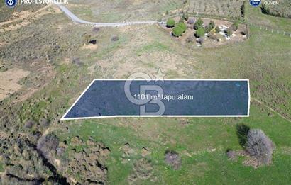 Karaburun Parlak Köyü'nde 1101 m2 Satılık Tarla