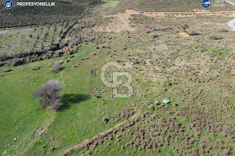Karaburun Parlak Köyü'nde 1101 m2 Satılık Tarla